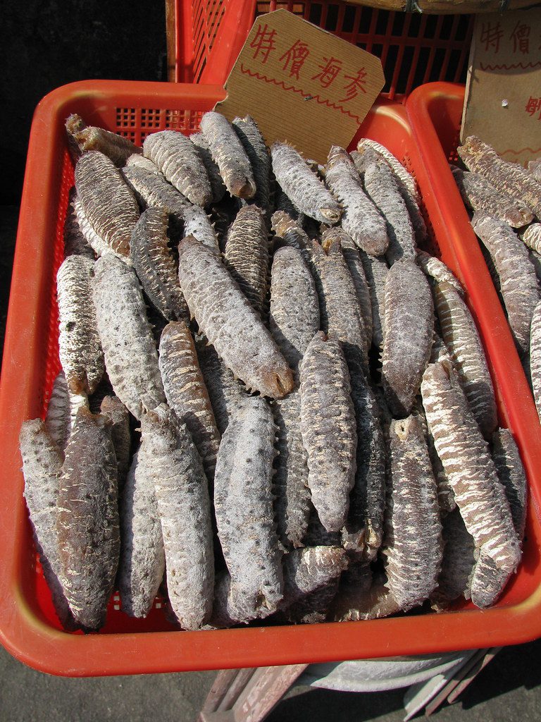 Sea Cucumber