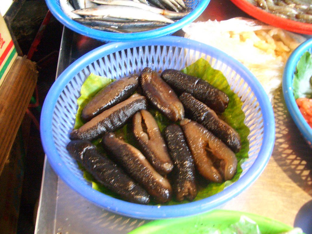 Basket of Sea Cucumbers
