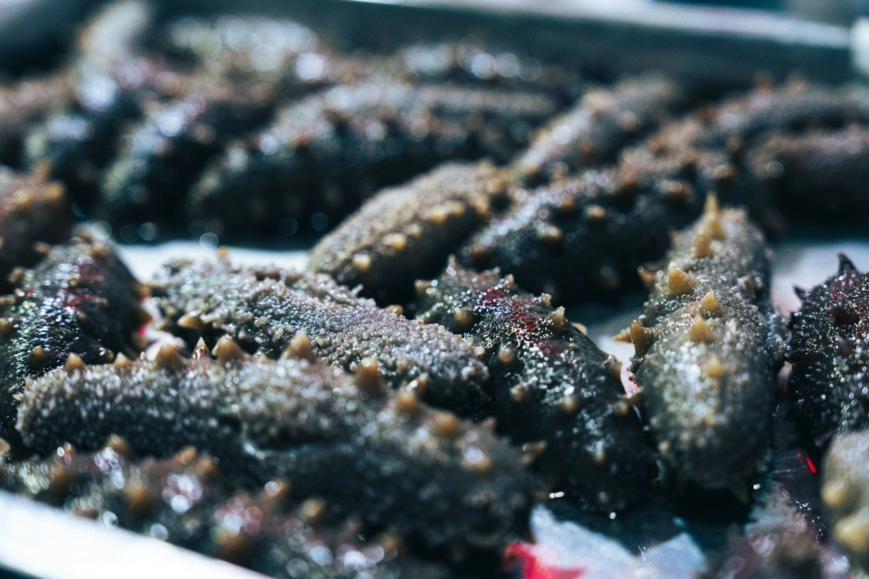 a close up of some food on a tray
