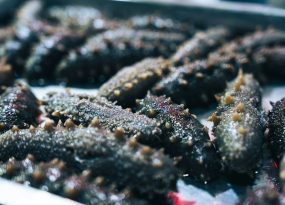 a close up of some food on a tray