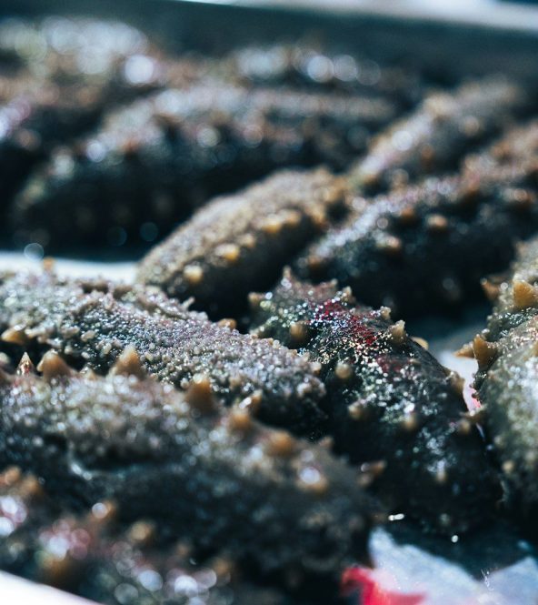 a close up of some food on a tray